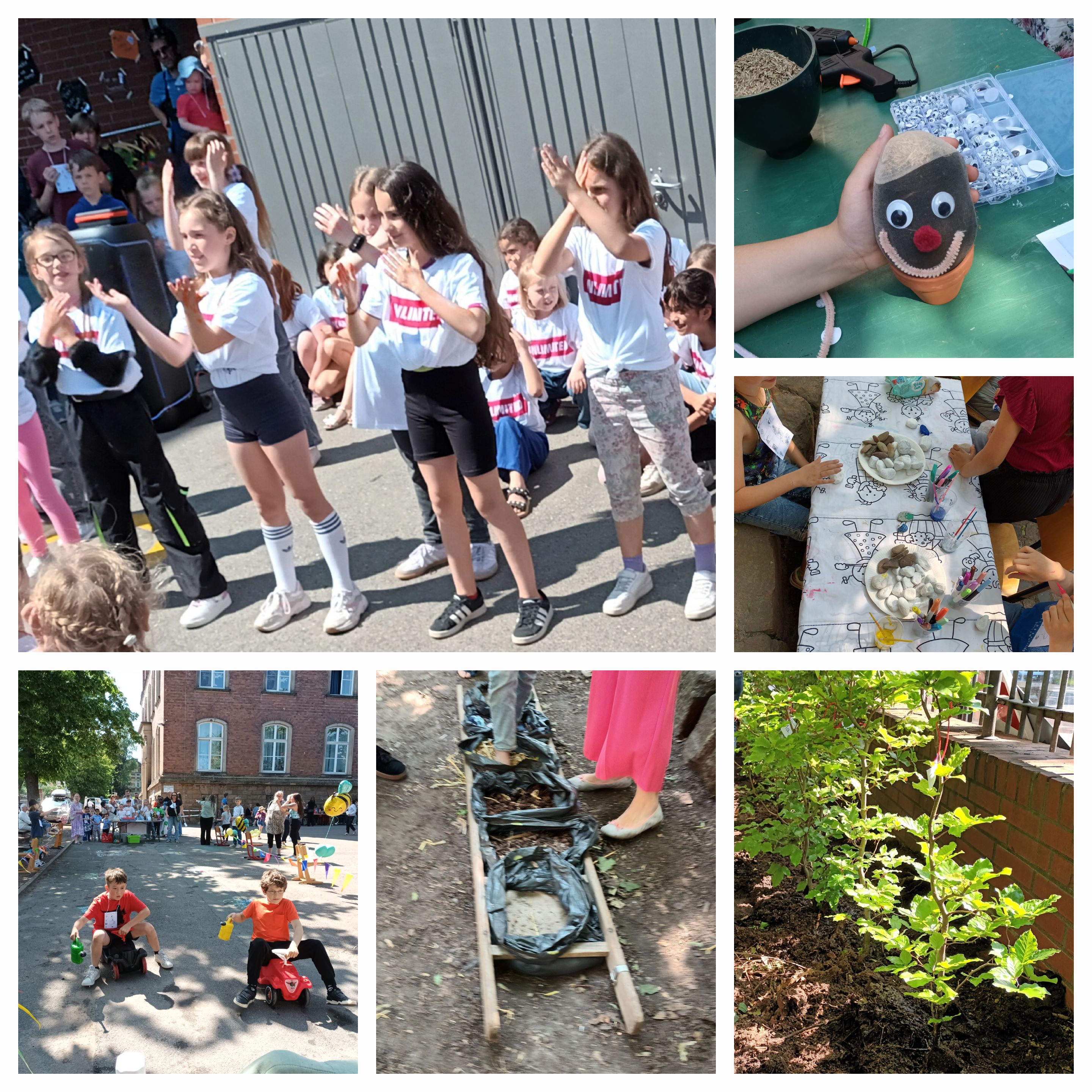 Eine Bildcollage aus dem Schulgarten